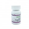 Capillaceous
